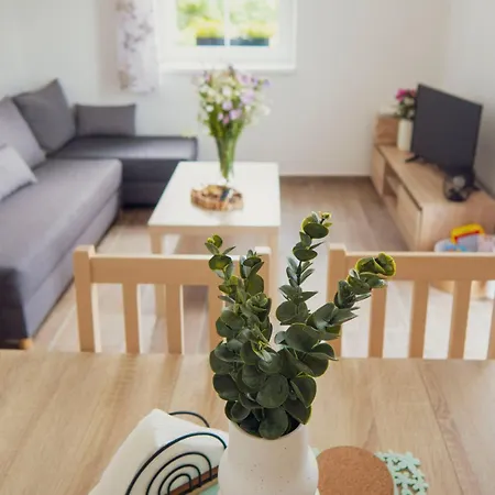 Na Kopecku Apartment Černý Důl